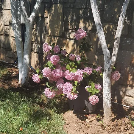 Cem Golturkbuku Bodrum